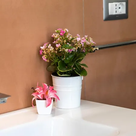 Quarzo Modern Maison d'hôtes